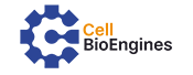 Cell-Bioengines24d